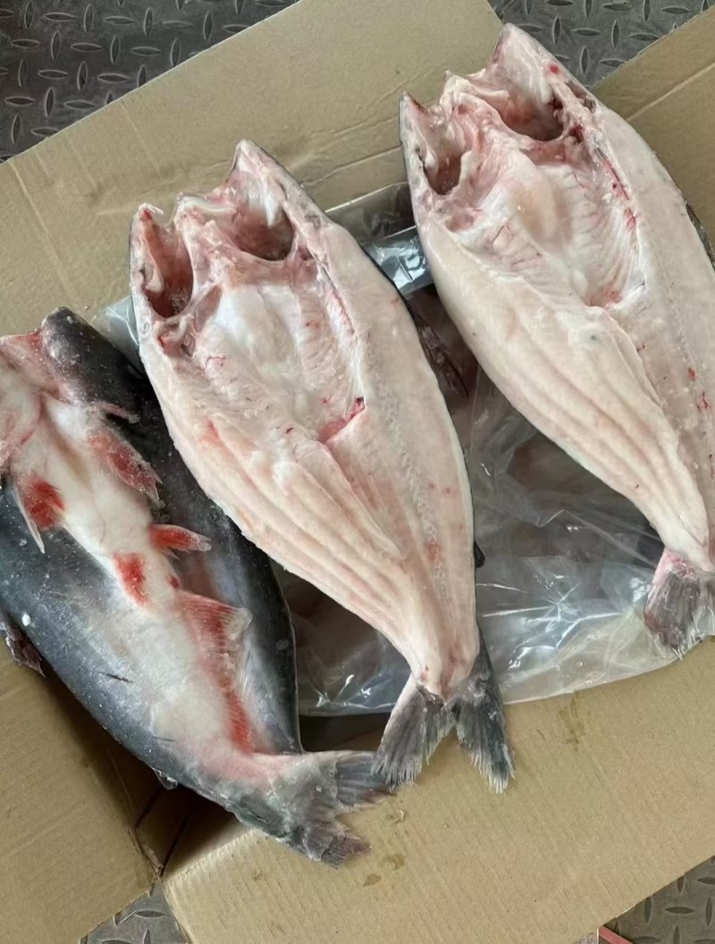 品鮮閣開背巴沙魚