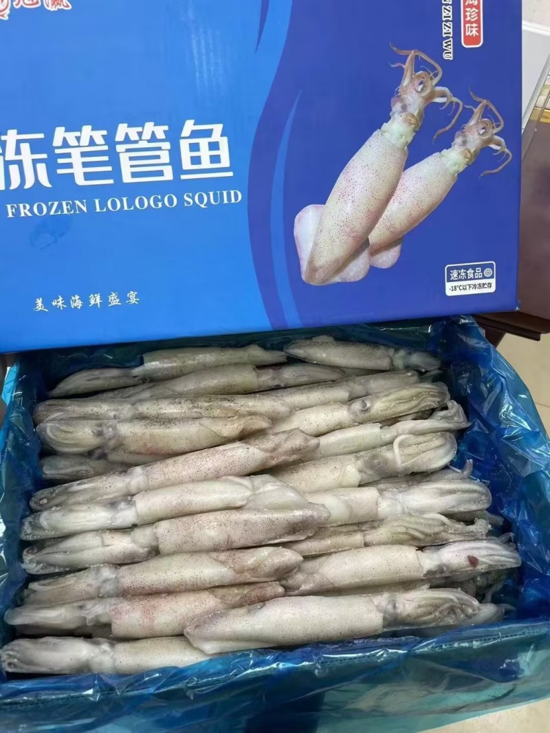 單凍筆管魷魚(yú)