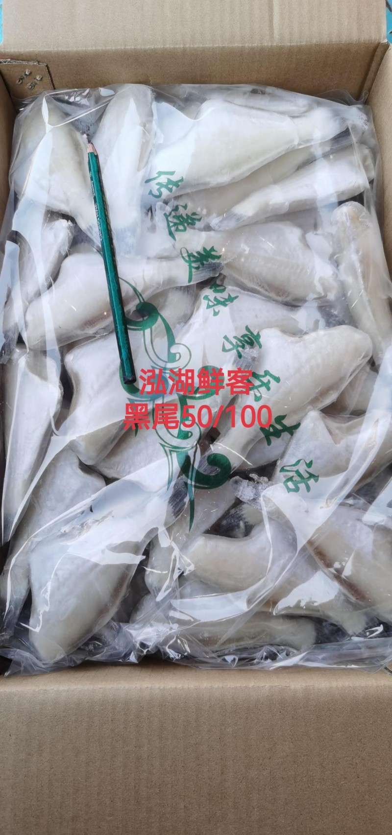 扒皮魚(yú)50/100（黑尾）